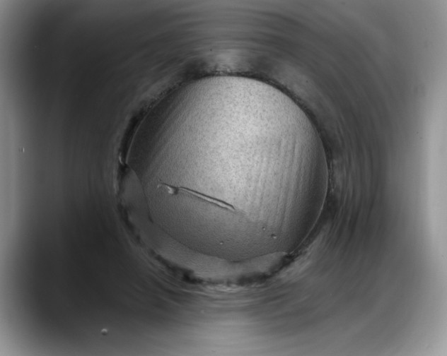 X0000088160450200705291915