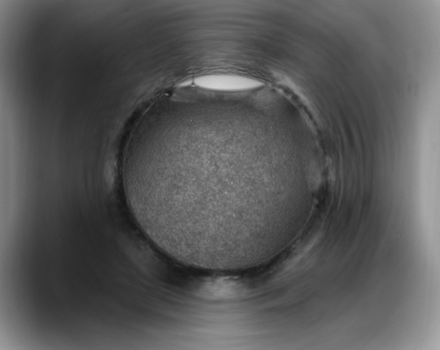 X0000088160451200705291915