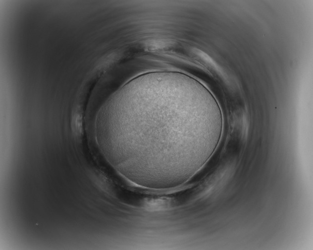 X0000088160452200705291915