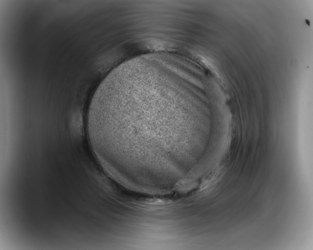 X0000088160453200705291915