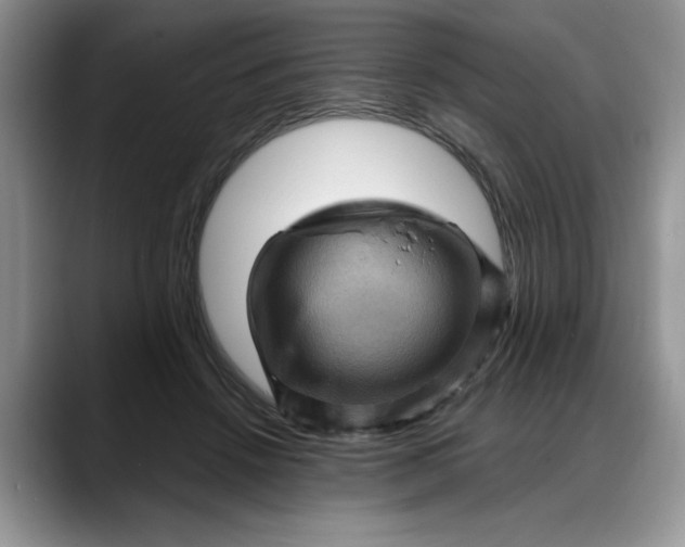 X0000088160456200705291915