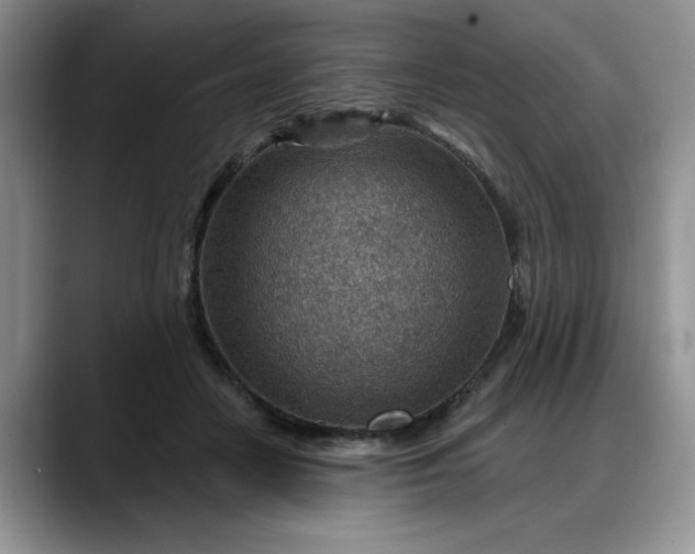 X0000088160458200705291915