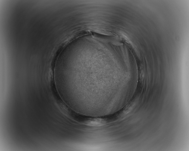 X0000088160459200705291915