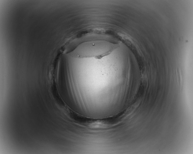 X0000088160460200705291915