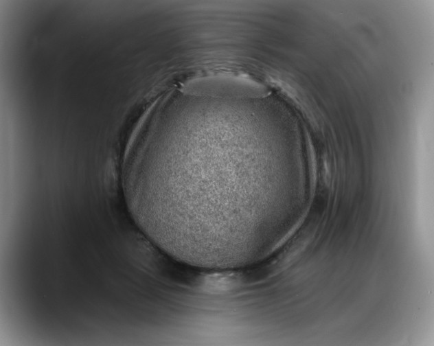 X0000088160461200705291915