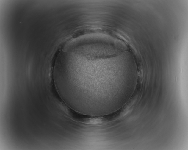X0000088160462200705291915