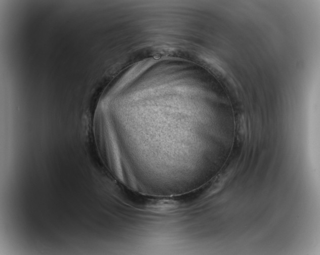 X0000088160463200705291915