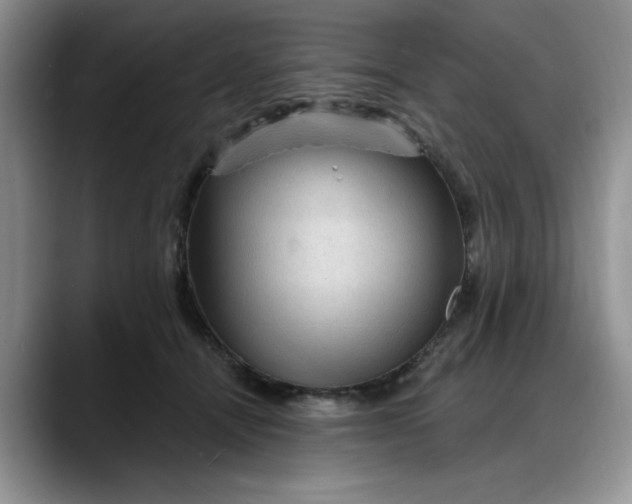 X0000088160464200705291915