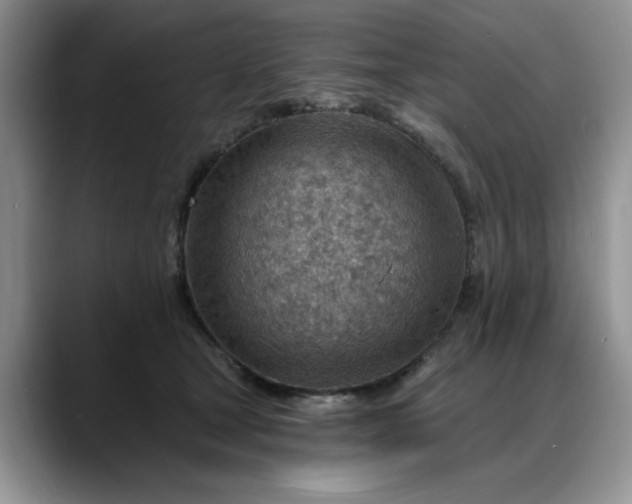 X0000088160465200705291915