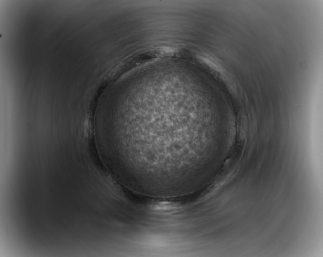 X0000088160467200705291915