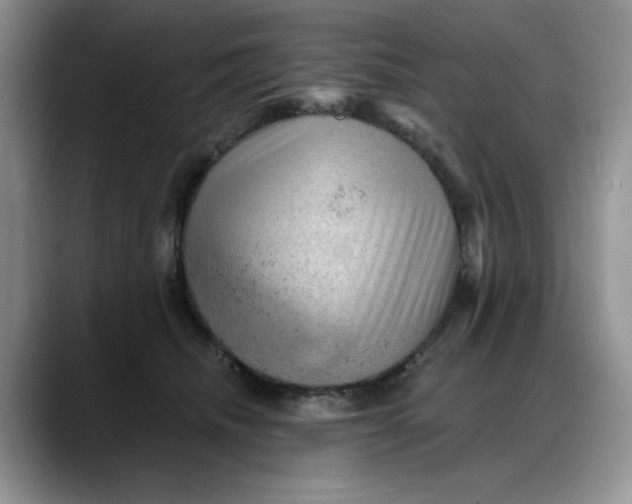 X0000088160468200705291915