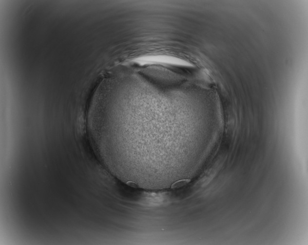 X0000088160469200705291915