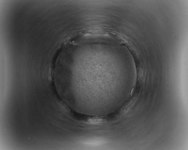 X0000088160470200705291915