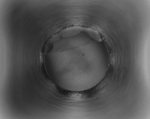 X0000088160471200705291915