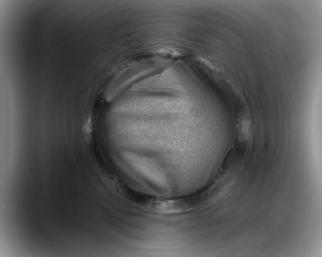 X0000088160472200705291915