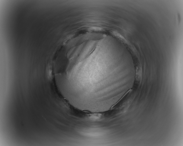 X0000088160474200705291915