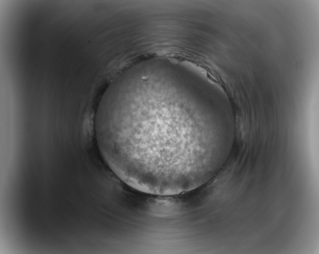 X0000088160475200705291915