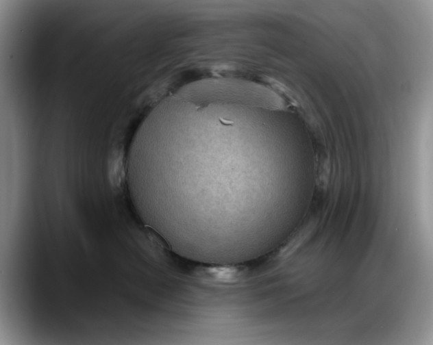 X0000088160478200705291915