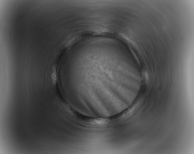 X0000088160479200705291915