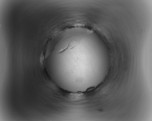 X0000088160480200705291915