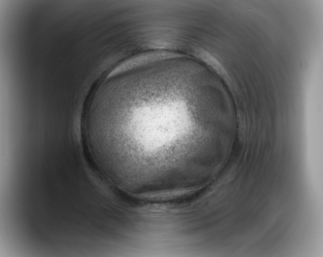 X0000088160482200705291914