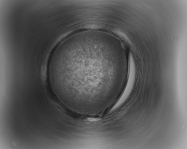 X0000088160484200705291914
