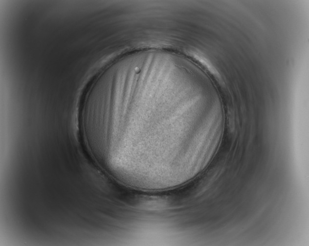 X0000088160486200705291914