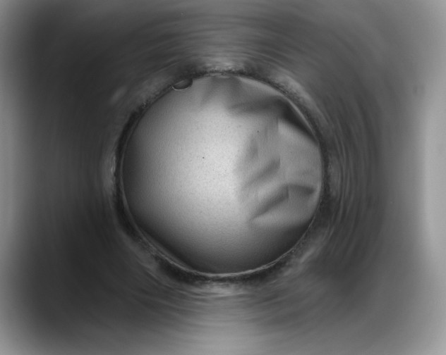 X0000088160490200705291914