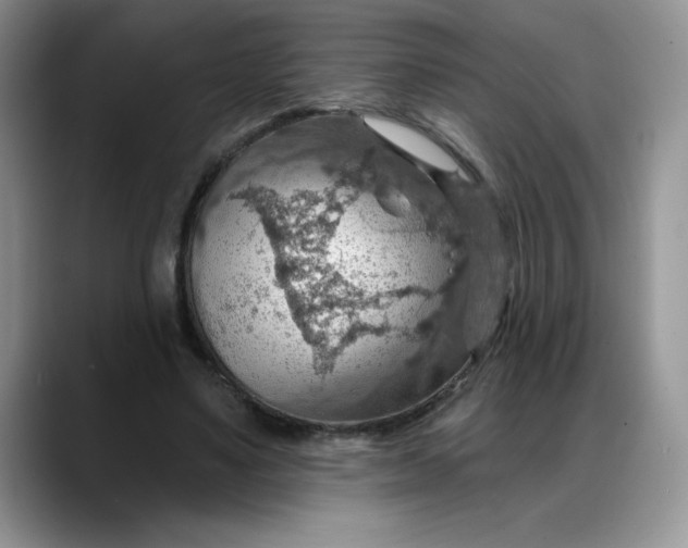 X0000088160491200705291914