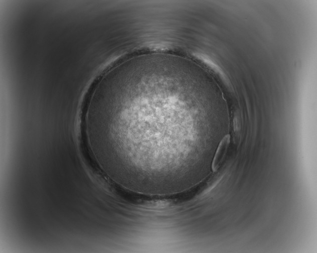 X0000088160492200705291914