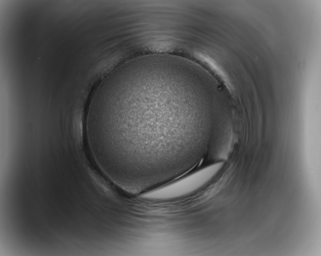 X0000088160493200705291914