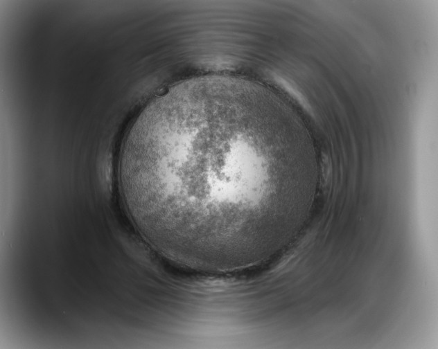 X0000088160494200705291914