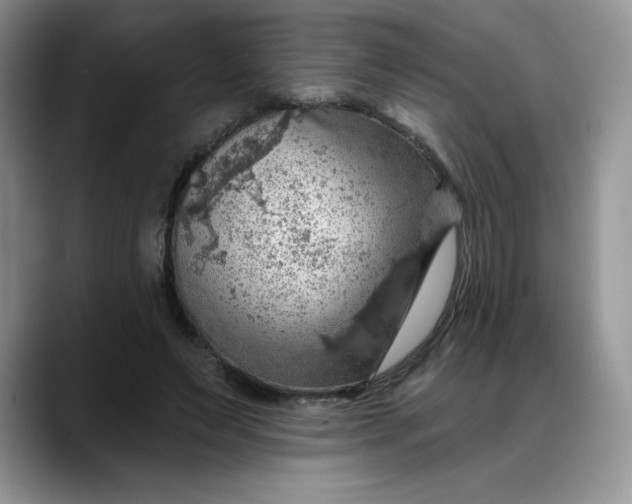 X0000088160495200705291914