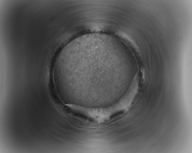 X0000088160496200705291914