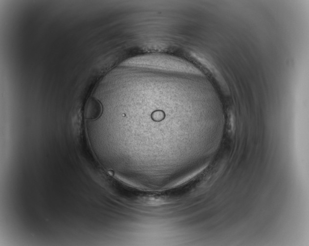 X0000088160498200705291914