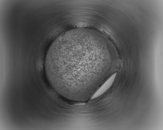 X0000088160499200705291914