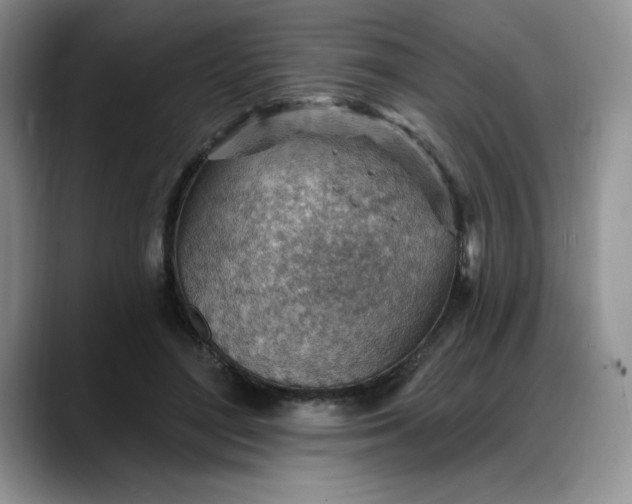 X0000088160500200705291914