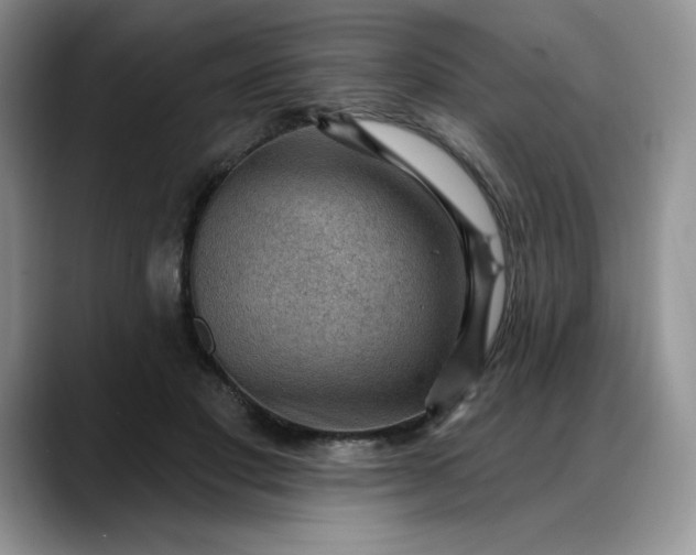 X0000088160501200705291914