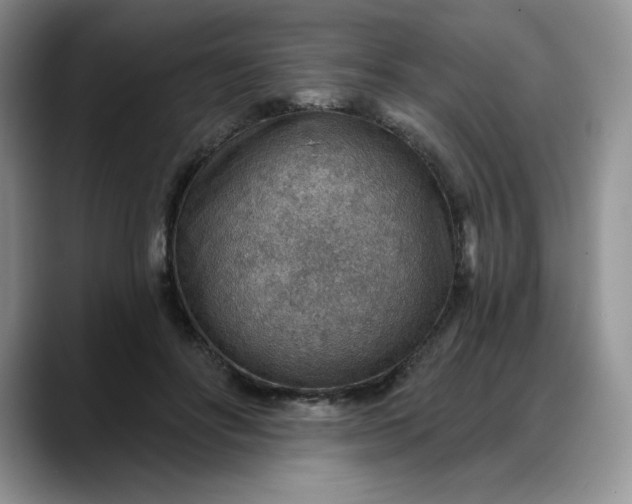 X0000088160502200705291914