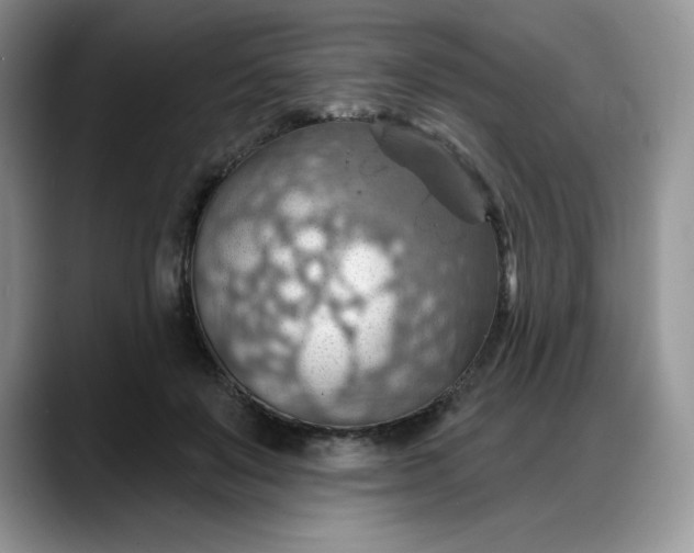 X0000088160503200705291914