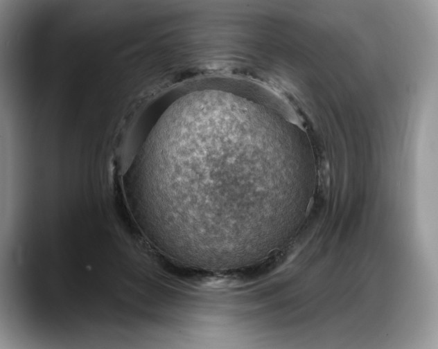 X0000088160504200705291914