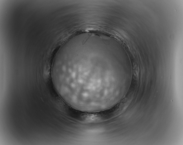 X0000088160507200705291914