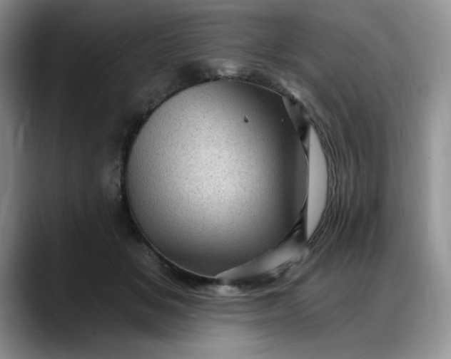 X0000088160509200705291914