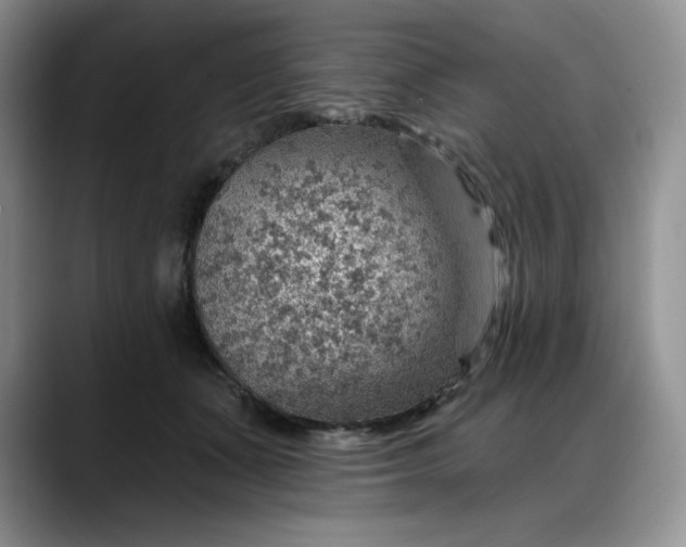 X0000088160511200705291914