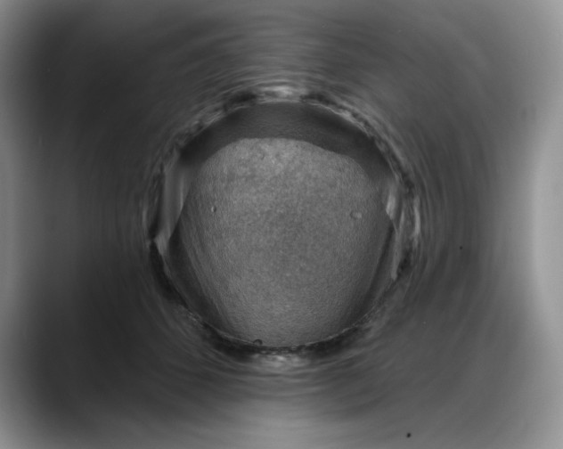 X0000088160512200705291914