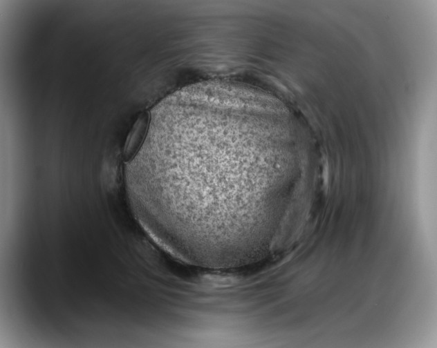 X0000088160515200705291914