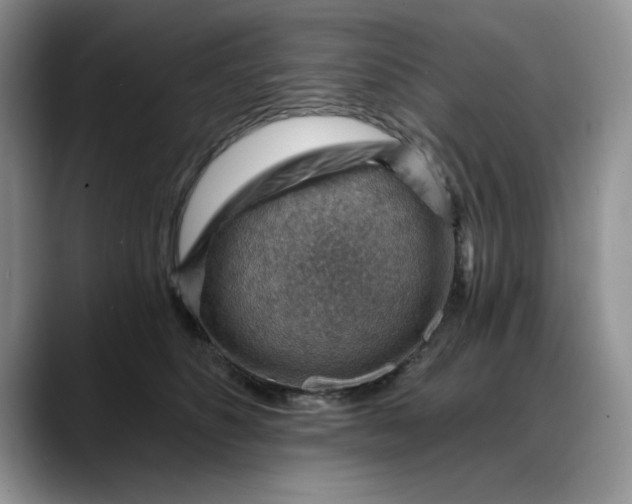 X0000088160516200705291914