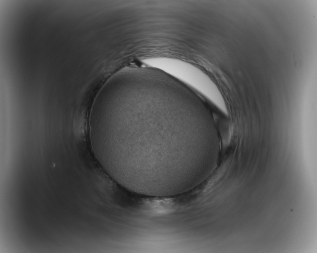 X0000088160517200705291914