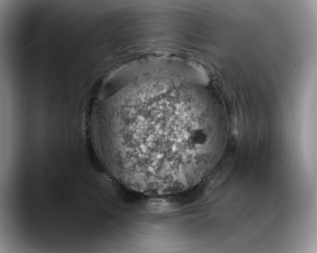 X0000088160519200705291914