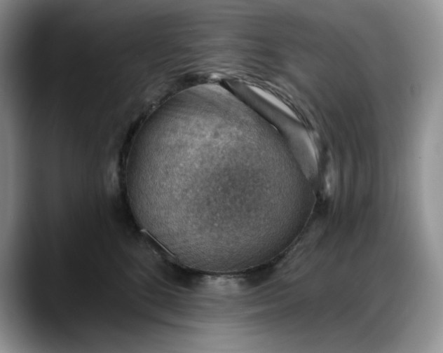 X0000088160520200705291914